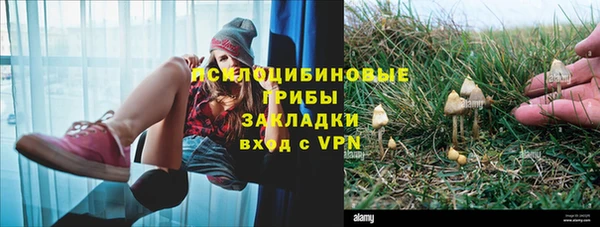 трава Протвино