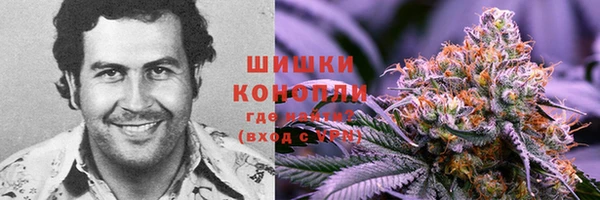 трава Протвино