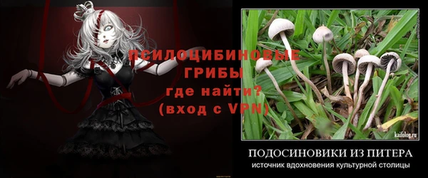трава Протвино