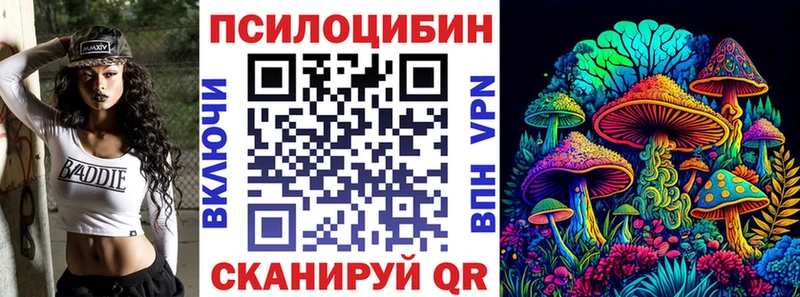 Галлюциногенные грибы Psilocybe продажа наркотиков Сольцы